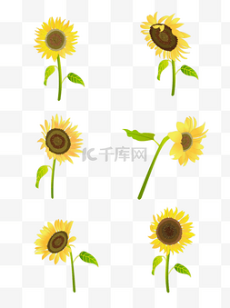 黄色小太阳花图片_手绘向日葵元素之小清新黄色太阳