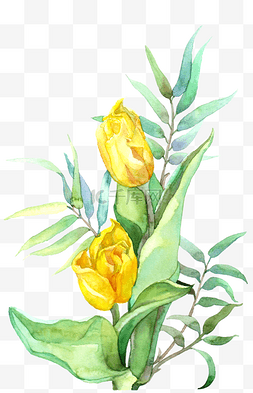 黄色的卡通花朵图片_手绘黄色的玫瑰水彩花卉