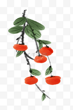 水墨中国风柿子插画