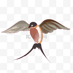 手绘展翅的燕子插画