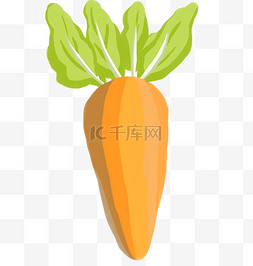 橘红色树叶图片_蔬菜胡萝卜