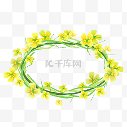 圆形的花环图片_黄色的油菜花花环插画