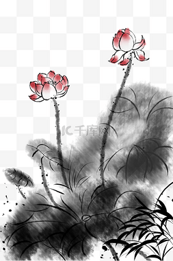 古风插画荷花图片_手绘中国风水墨荷花插画