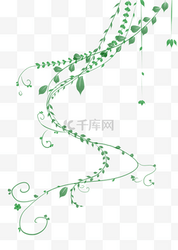 春季唯美背景图片_植物叶枝枝藤插画