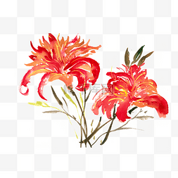 手绘水彩花卉png免抠图片_鲜艳的红花水彩画PNG免抠素材