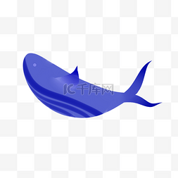 鱼类海洋鲸鱼