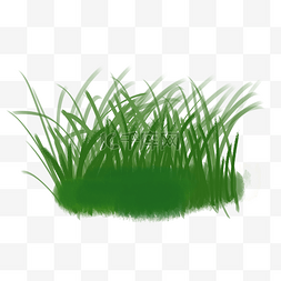 春天里的一簇绿色草丛