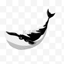 黑色的鲸鱼手绘插画