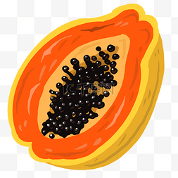水果籽图片_手绘切开的木瓜插画