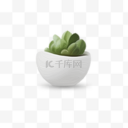 卡通盆栽小绿植图片_矢量盆栽绿植插画