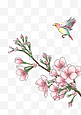 工笔画粉色的鲜花和小鸟