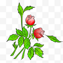 两枝玫瑰花图片_手绘红色玫瑰