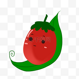 植物番茄图片_番茄甜西红柿