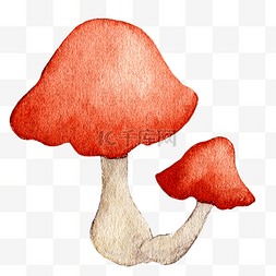 水彩秋日红色蘑菇