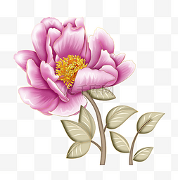 灵动背景图片_粉色的美丽绽放花朵