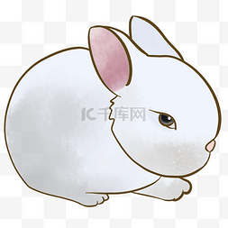 卡通可爱小兔子手绘插画