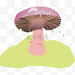 蘑菇伞图片_蘑菇小草土地