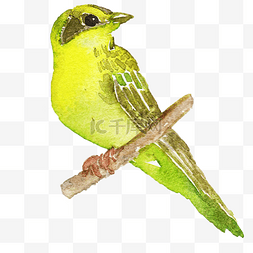 黄色的小鸟手绘插画