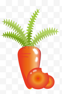 新鲜蔬菜胡萝卜图片_红色的胡萝卜插画