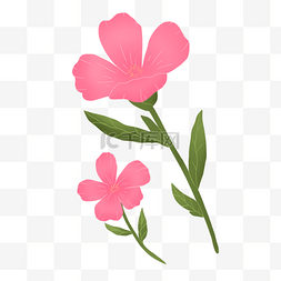 粉色叶子装饰图案图片_两朵粉色美丽花朵