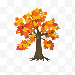 秋天枫树树叶素材图片_秋天枫树红了素材