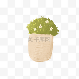 漂亮的植物盆栽免抠图