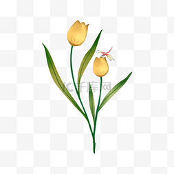 清新手绘绿叶背景图片_蜻蜓和黄色郁金香