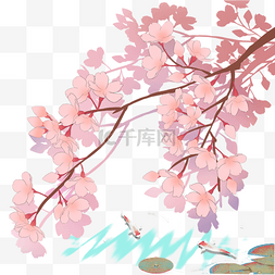 手绘樱花花卉图片_日本春天樱花锦鲤池塘风景