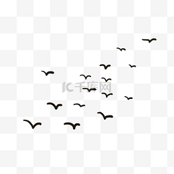 创意动物剪影图片_黑色创意海鸥剪影