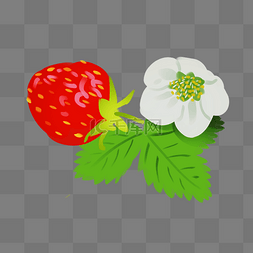 新鲜的草莓水果图片_新鲜待摘草莓插画