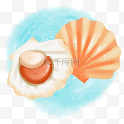小葱炒扇贝图片_卡通手绘海鲜美味贝壳之一个橙色