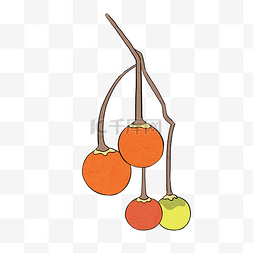 小果子植物图片_手绘植物彩色野果小果子