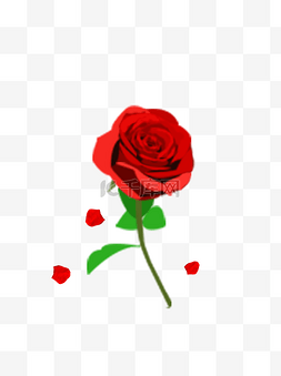 情人节手绘玫瑰玫瑰花瓣商用元素