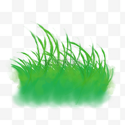 青草草坪草地