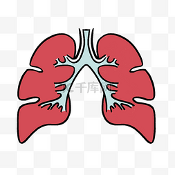 矢量肺部图片_肺部器官图