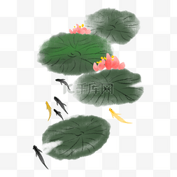 中国风荷花荷叶手绘插画