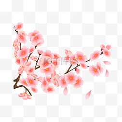 春季绽放图片_手绘春季粉色的樱花