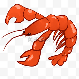 海鲜小龙虾保护自然
