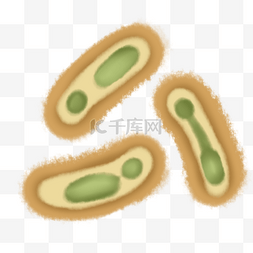 生物杆菌图片_黄色杆菌细菌