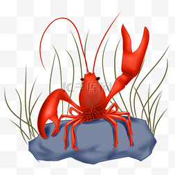 手绘翘钳子的龙虾插画