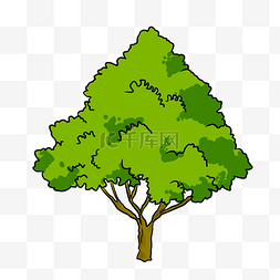 树木大树树