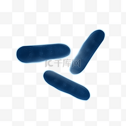 蓝色条形细菌