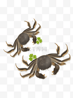 大螃蟹卡通图片_新鲜海产品大闸蟹可商用元素