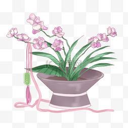 紫色花朵盆栽图片_紫色花草盆栽