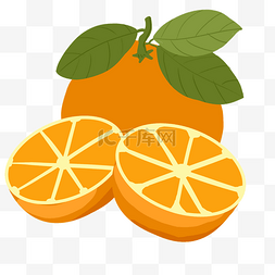 脐橙图片_卡通营养水果橙子