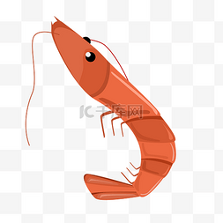 手绘大虾大虾图片_红色的海鲜大虾插画