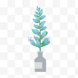 蓝色花瓶图片_瓶装植物多肉
