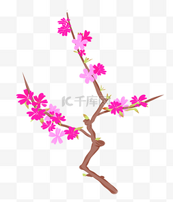 樱花树枝手绘