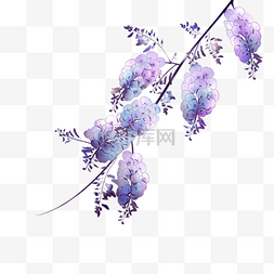 弯曲植物图片_紫色植物花朵植物
