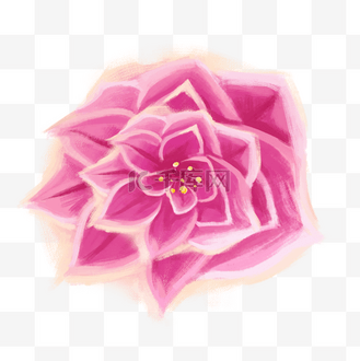 粉色花朵油画png
